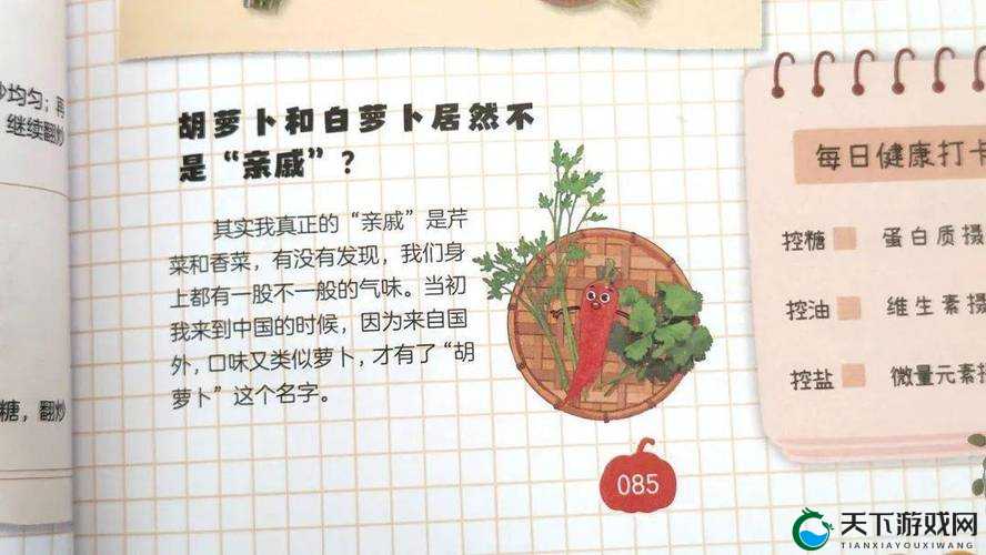 一小孩和妈妈胡萝卜黄：关于他们的有趣故事与温馨日常