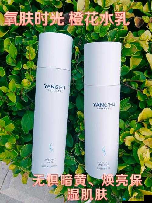 水乳融合和天衣无缝的区别：探究二者在表达上的细微差异