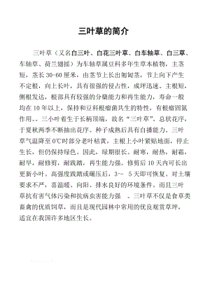 三叶草 gy6793：关于它的神奇之处与独特魅力介绍