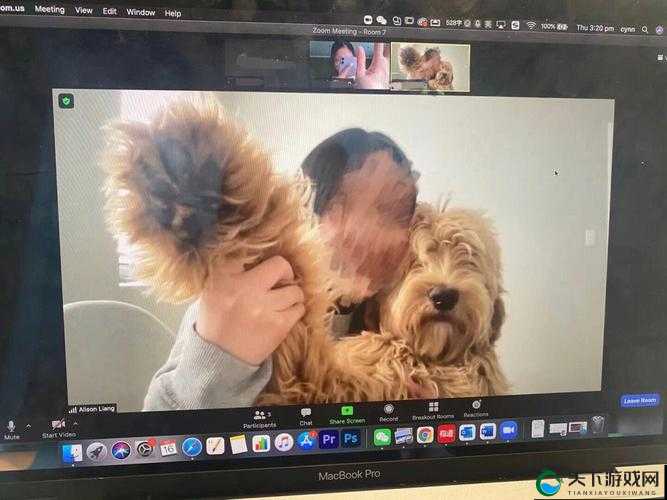 人狗 ZOOM 欢迎你：开启别样精彩之旅