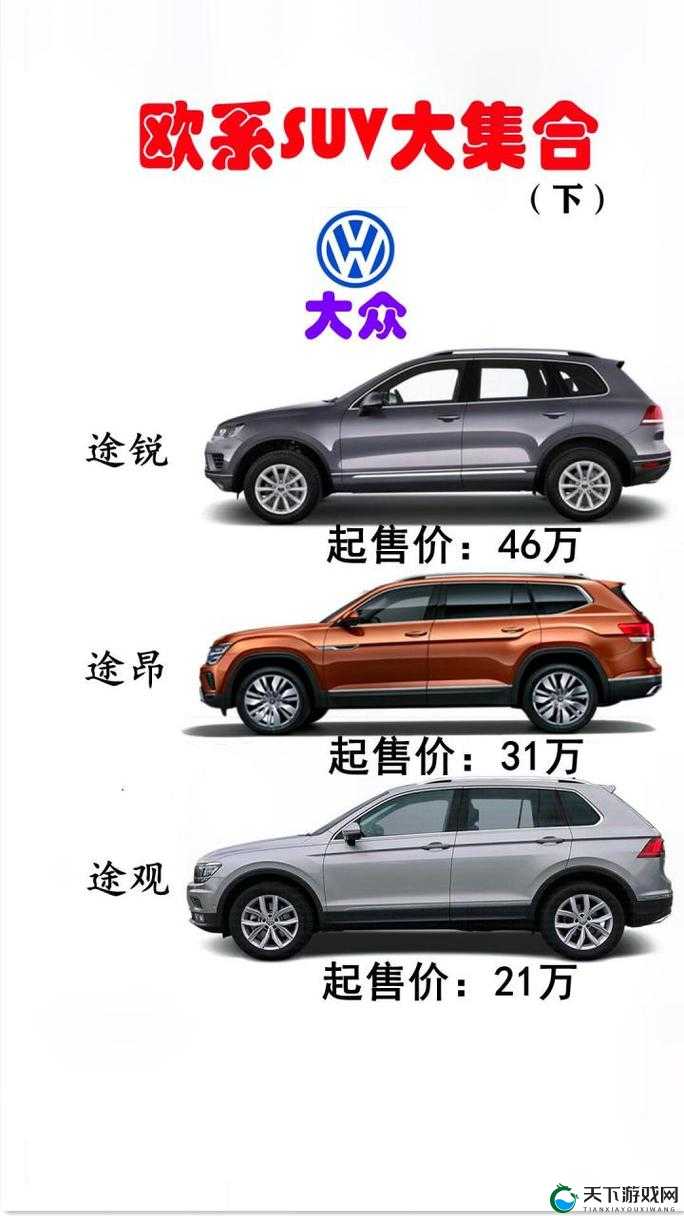欧美 wb 二级 suv 大全:全面解析各类欧美二级 suv 车型特点