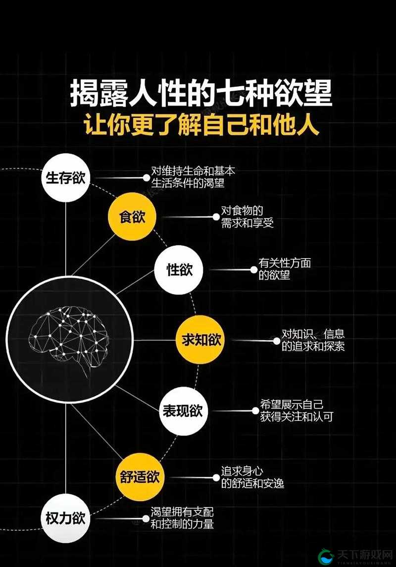 另類老婦牲 ABBABB:探讨人性与欲望的深度之作