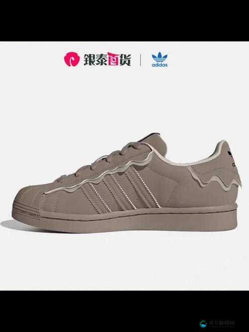 三叶草 gw6181：探索其独特魅力与无限可能