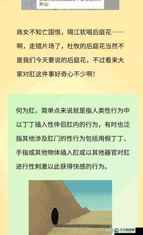 成年人内容：探索尿交videos双后门重口的私密世界