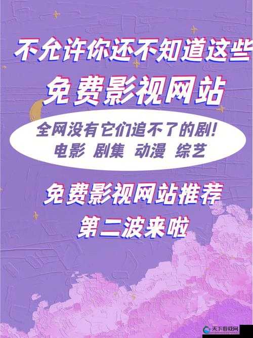 哪个网站看电影好 探寻优质观影平台推荐及特点分析