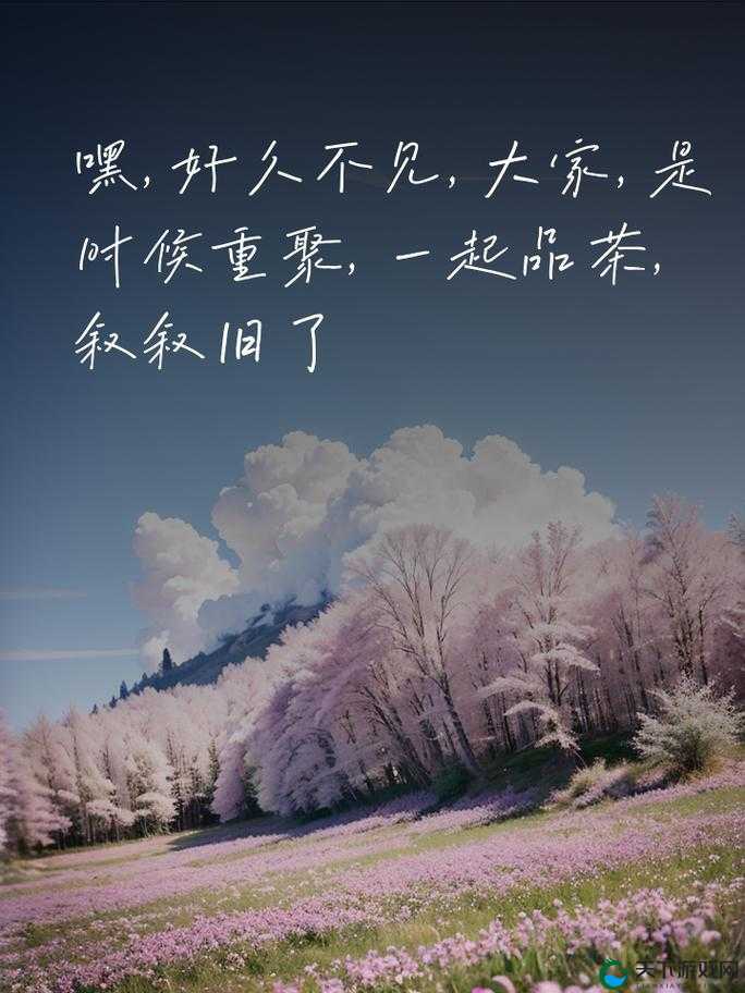 500 一晚同城约茶：一场关于品质与信任的邂逅