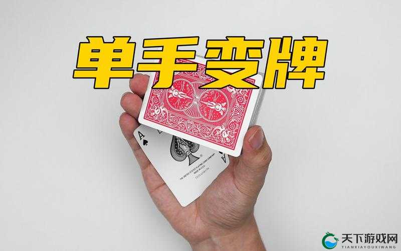 免费扑克视频大全软件下载：海量精彩视频，尽在其中
