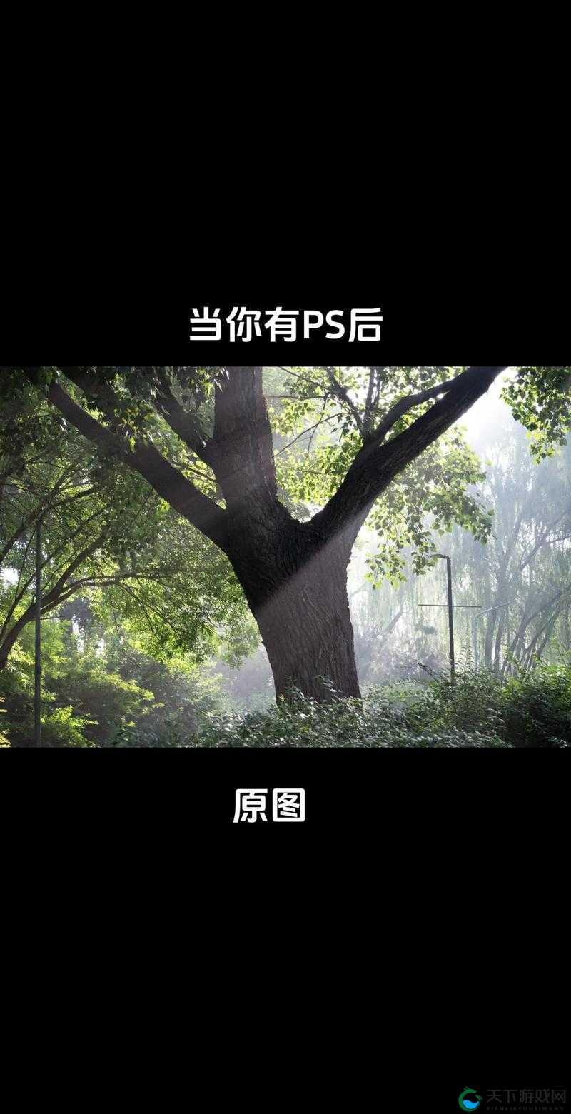 免费 ps 大片调色视频播放-让你的视觉体验更上一层楼