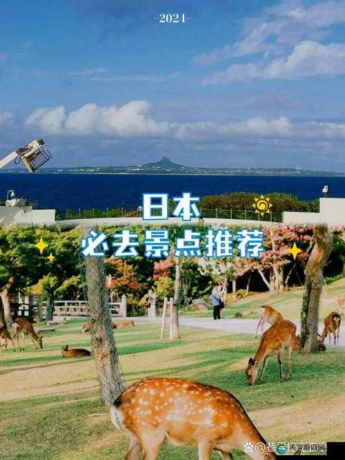 Tobu 日本 ：探寻独特的文化魅力与风情之旅