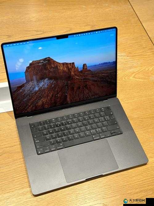 18 岁 macbookpro 高清:展现青春活力的科技伙伴
