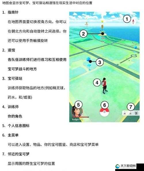 宠物小精灵GO竞技场系统玩法攻略,资源管理的艺术