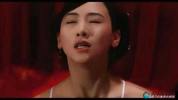 坏娜娜怡红院：探寻那独特而神秘的风月之地