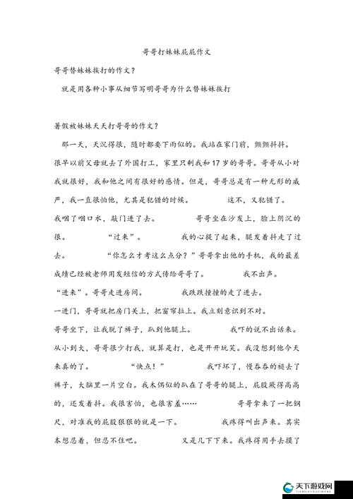 关于把PP打烂的作文之深入分析与思考