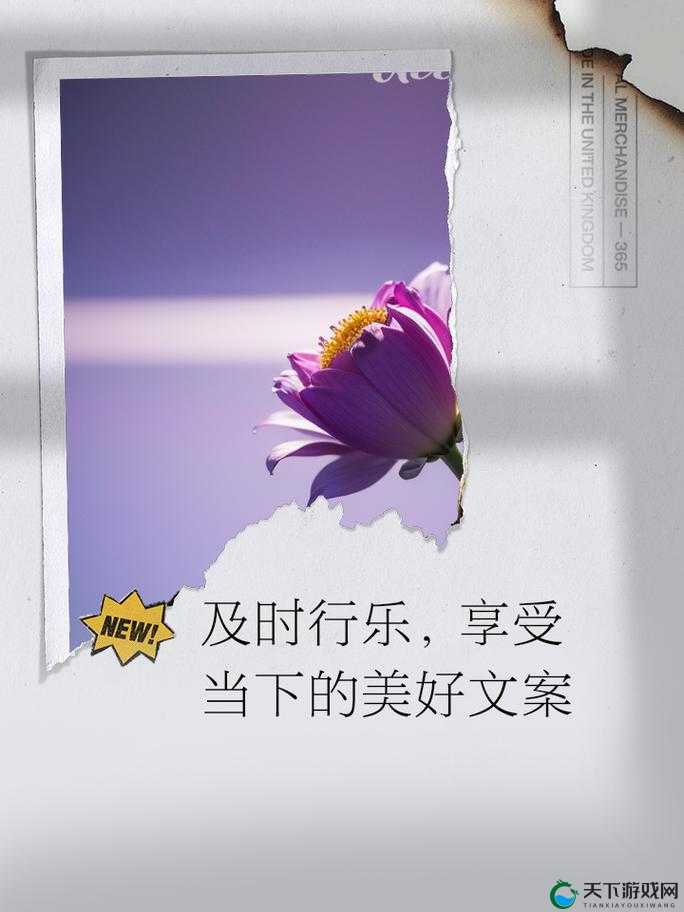 及时行乐 HPO：在有限的时光里尽情享受生活的美好与乐趣