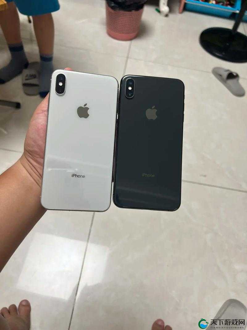 二手欧版 XS Max：性价比与个性的完美结合