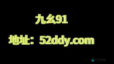 九幺91 无风险免费版安装:带来便捷高效体验之旅