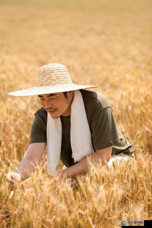 儿子耕种母亲的田地叫什么名字：探寻背后的家庭农业传承