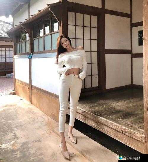俄罗斯人又更又租中文被主播米娜收购：背后隐藏的故事与影响