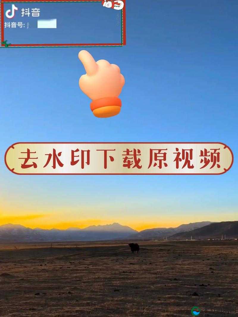 如何下载安装9.1视频极速版最新版：详细教程