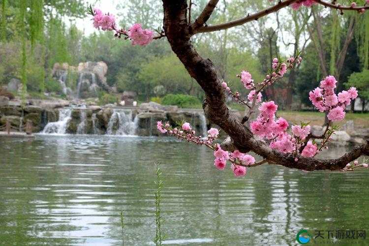新游戏：芳草萋萋流水潺潺，美不可言尽显奇幻魅力