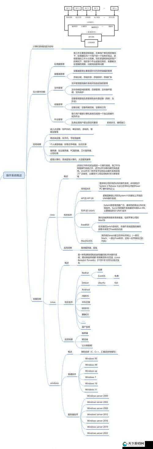 日本 Windows Server 深入剖析其特点与应用场景