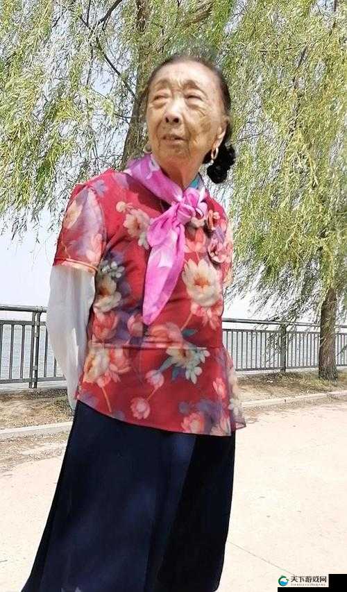东北老女人被操后大喊：在线等，挺急的