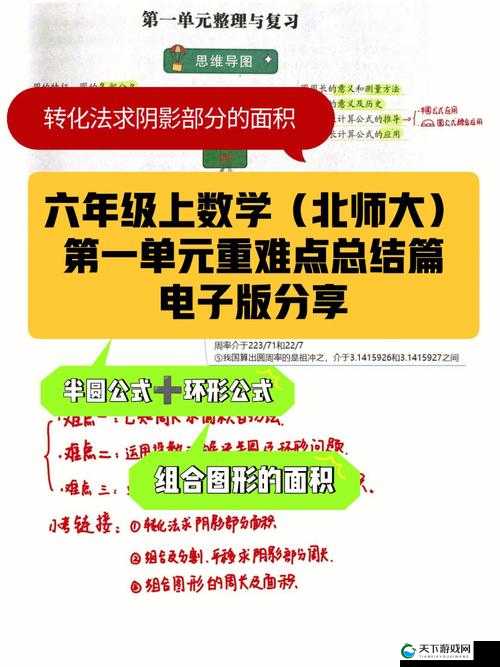 有码内射在数学领域中的独特应用与意义探讨