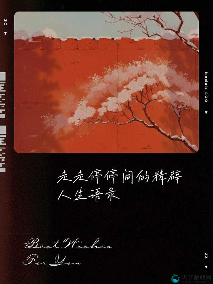 神秘已满十八带好纸巾从此转人：开启未知的全新旅程