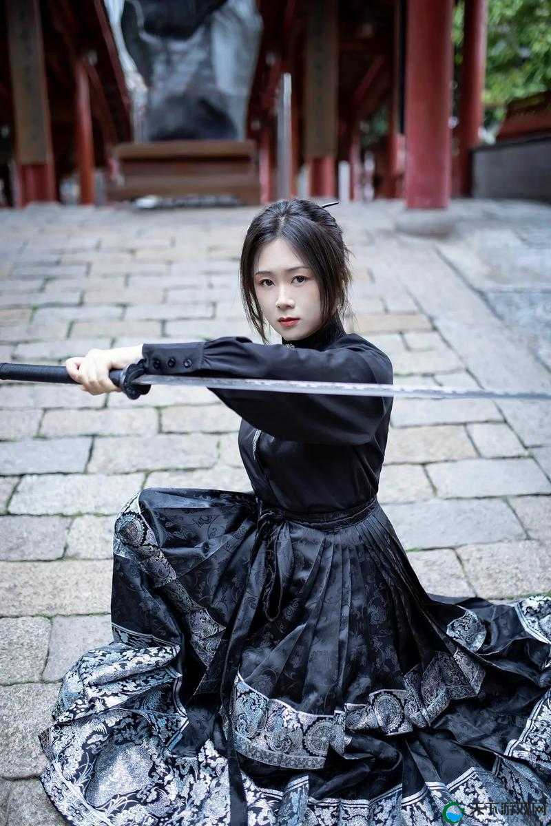 江湖侠客令，刀光剑影中的明月清风