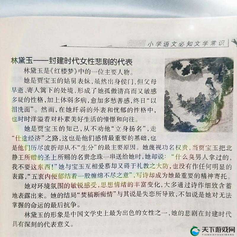 宝玉林黛玉初尝风雨的解读：对经典爱情场景的深入剖析