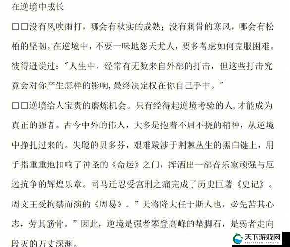 权力与荣耀，在命运的赦令下绽放的辉煌