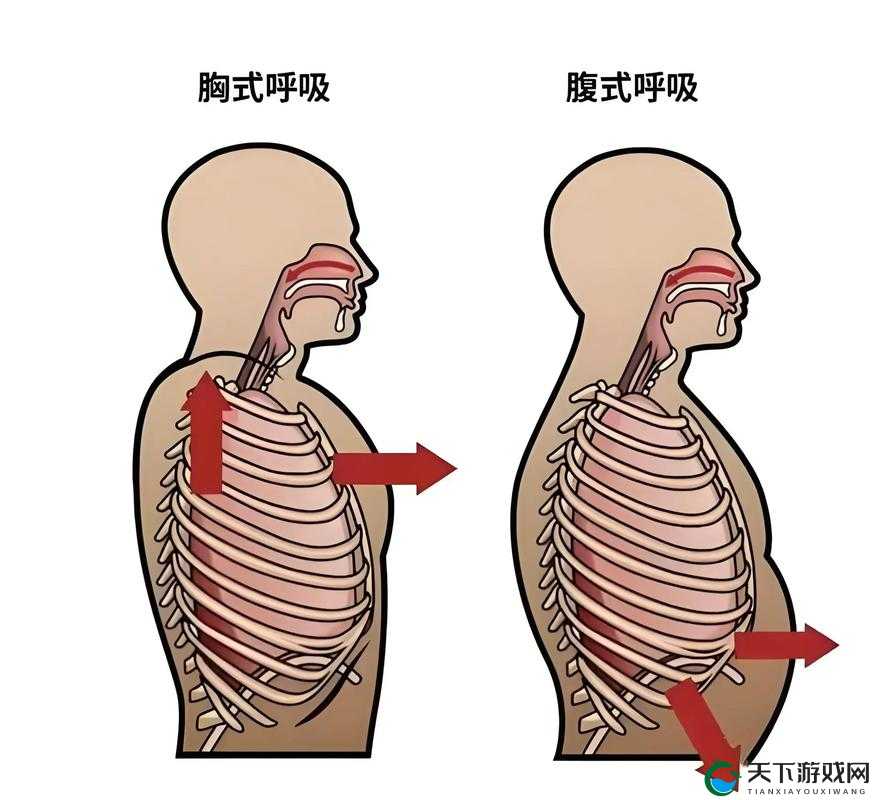 OpenYourMouthAndTakeInSomeAir-改善呼吸的关键步骤