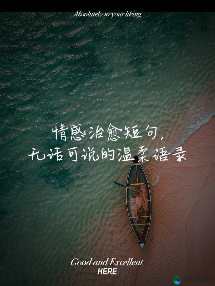 年下 1∨1h 年龄差:一场跨越岁月的情感追逐与交融