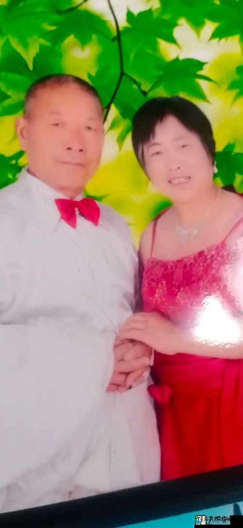 老刘头的幸福晚年中张倩倩的故事背景与人物发展探析