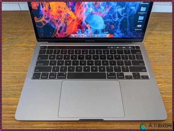 18 岁 macbookpro 高清功能：展现极致清晰与卓越性能