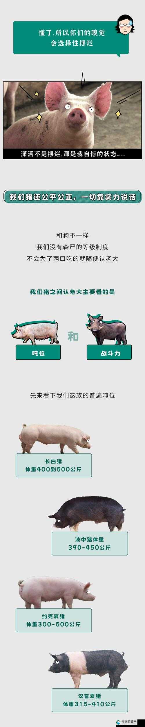 人 or 猪 or 狗已彻底下架-老用户：相关情况详细说明与分析