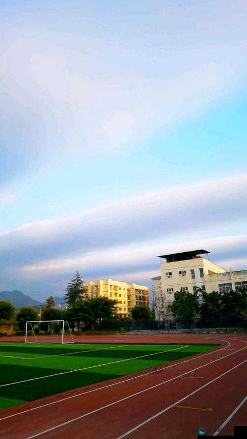 朝阳初升校园 11h 是何景象：对校园清晨之美的深入探寻与展现
