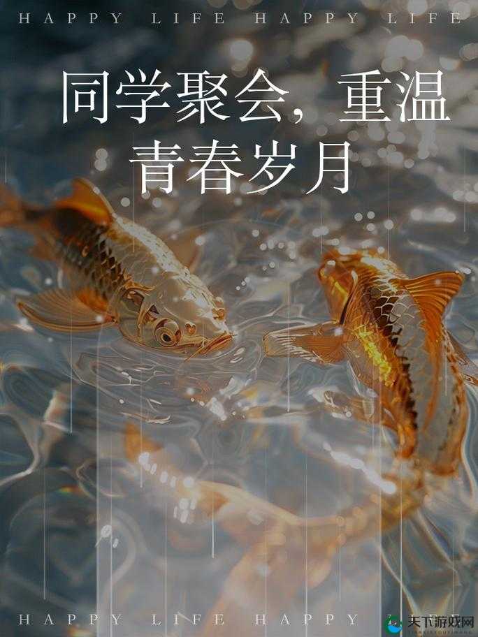 入梦校园 poPO ：带你重温青春岁月的美好时光