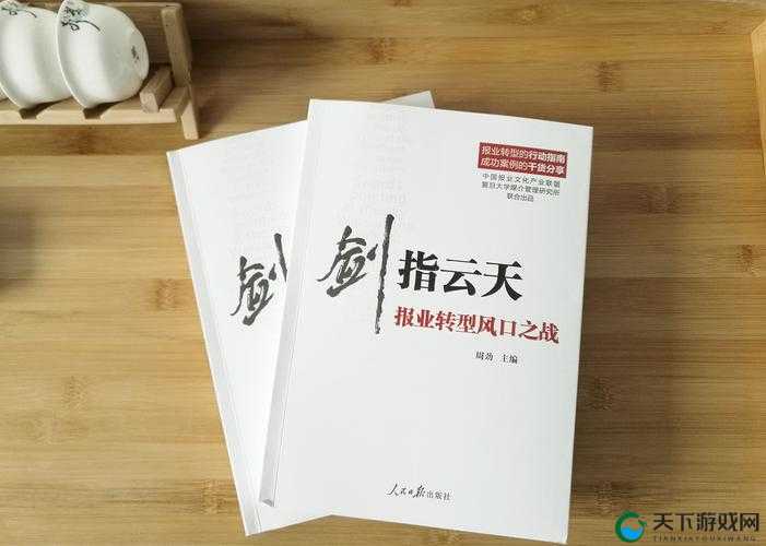剑指云天捉拿细作活动玩法解析在资源管理中的重要性及策略