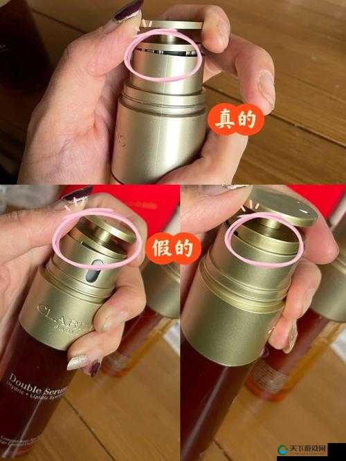 精华区对比：深入探讨不同精华区之间的差异与特点