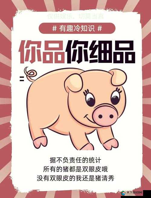 人与猪的 DNA：探索其潜在的科学价值与奥秘