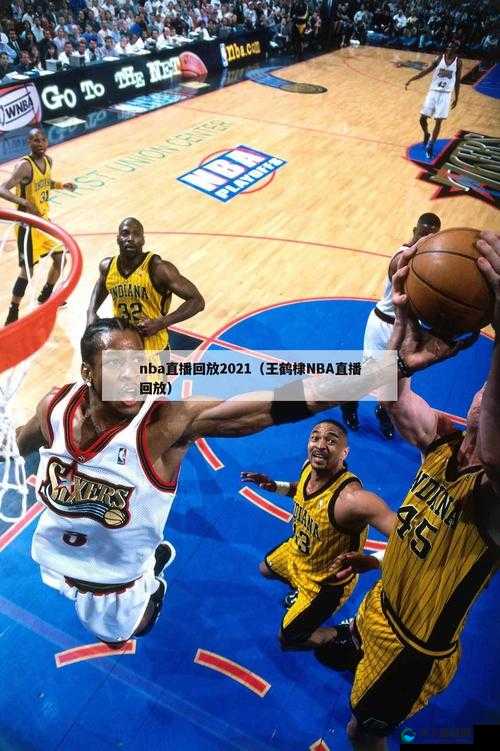 鲸鱼视频免费观看高清版 nba ：呈现精彩赛事瞬间