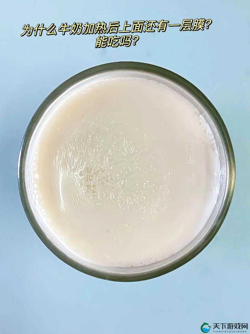 一面亲膜上边奶一个膜边：探索其独特结构与潜在功能