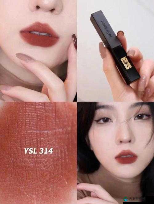 Ysl 蜜桃棕调色：打造专属你的迷人魅力妆容