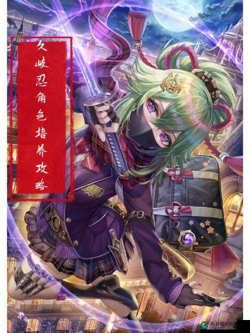久岐忍选用铁蜂刺还是暗铁剑之抉择探讨