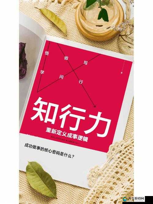 揭秘制造业的精髓：探寻行业背后的核心力量与成功密码