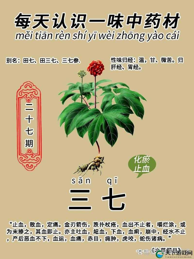 三七大但人文艺术免费：探寻其独特魅力与价值所在