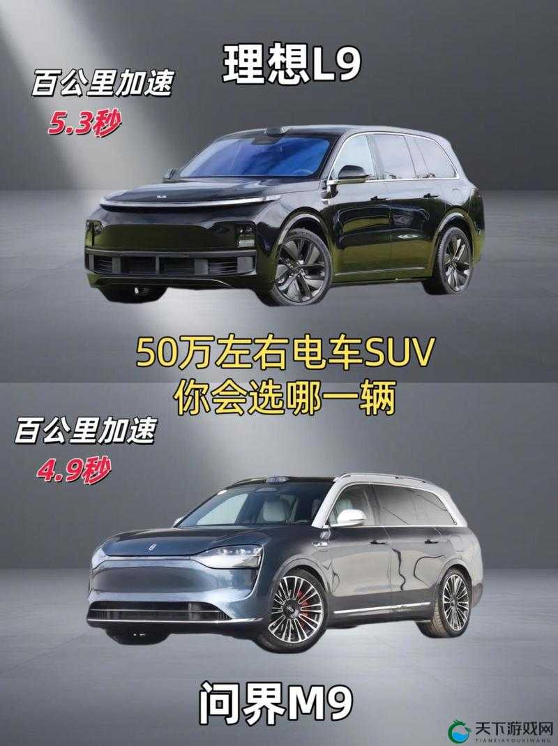 国产 SUV 在欧洲的热门之选：探究其受欢迎背后的原因