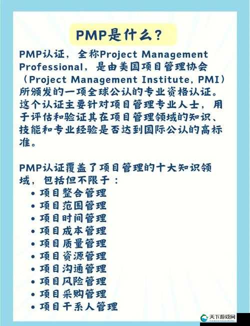 深入浅出 PMP：助力项目管理高效达成