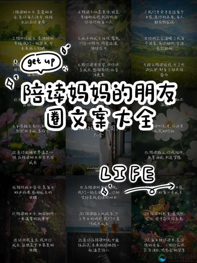 陪读妈妈：家与事业的平衡点